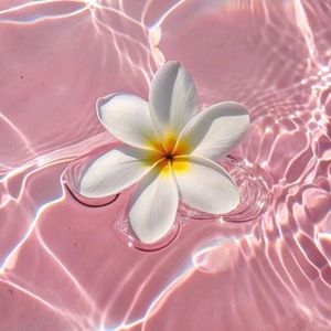 Meet your Posher, Paulina